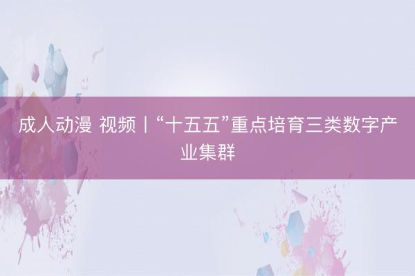 成人动漫 视频丨“十五五”重点培育三类数字产业集群