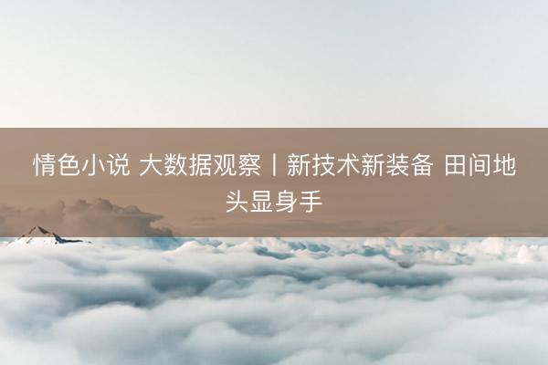 情色小说 大数据观察丨新技术新装备 田间地头显身手