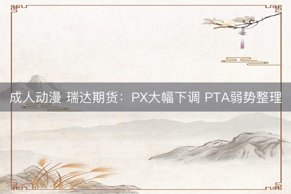成人动漫 瑞达期货：PX大幅下调 PTA弱势整理