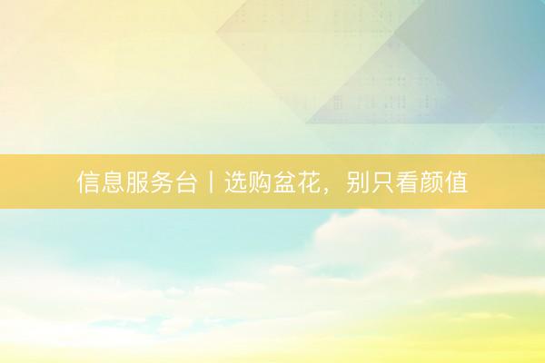 信息服务台丨选购盆花，别只看颜值