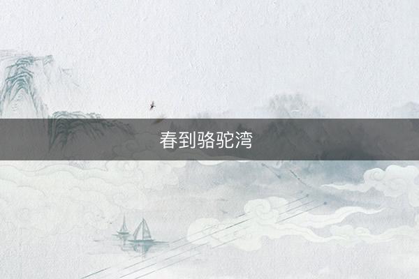 春到骆驼湾 