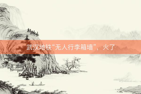 武汉地铁“无人行李箱墙”，火了