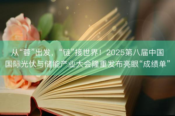从“蓉”出发，“链”接世界！2025第八届中国国际光伏与储能产业大会隆重发布亮眼“成绩单”