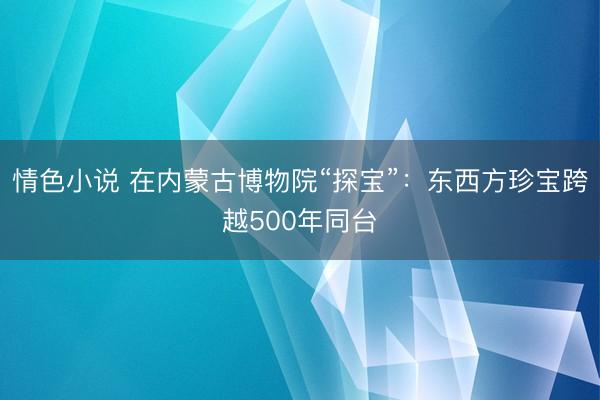 情色小说 在内蒙古博物院“探宝”：东西方珍宝跨越500年同台