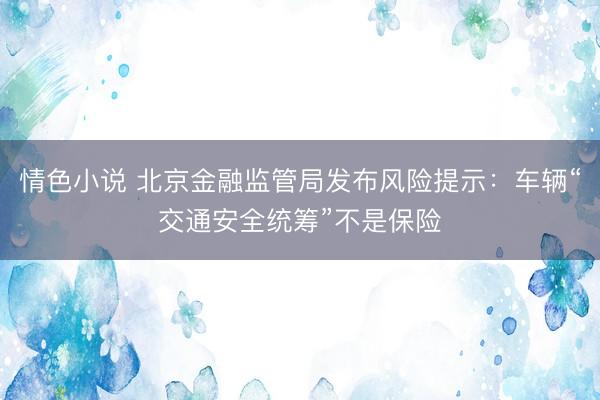 情色小说 北京金融监管局发布风险提示：车辆“交通安全统筹”不是保险