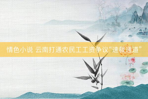 情色小说 云南打通农民工工资争议“速裁通道”
