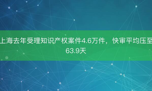 上海去年受理知识产权案件4.6万件，快审平均压至63.9天