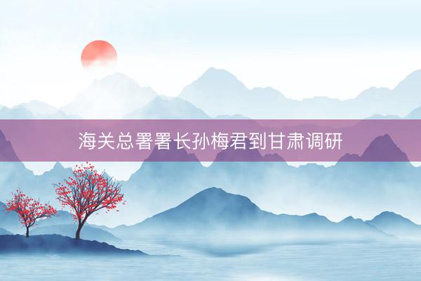 海关总署署长孙梅君到甘肃调研