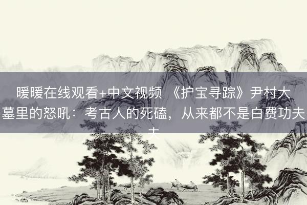 暖暖在线观看+中文视频 《护宝寻踪》尹村大墓里的怒吼：考古人的死磕，从来都不是白费功夫