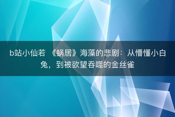b站小仙若 《蜗居》海藻的悲剧：从懵懂小白兔，到被欲望吞噬的金丝雀
