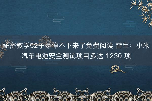 秘密教学52子豪停不下来了免费阅读 雷军：小米汽车电池安全测试项目多达 1230 项