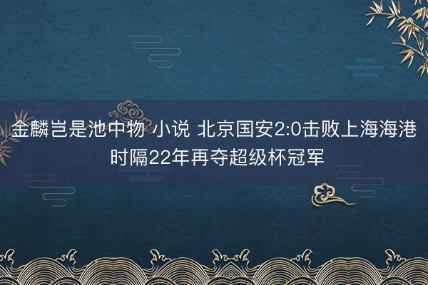 金麟岂是池中物 小说 北京国安2:0击败上海海港 时隔22年再夺超级杯冠军