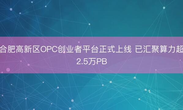 合肥高新区OPC创业者平台正式上线 已汇聚算力超2.5万PB