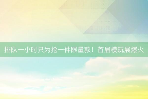 排队一小时只为抢一件限量款！首届模玩展爆火