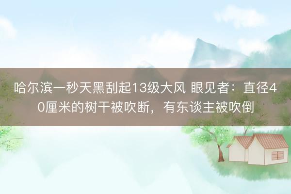 哈尔滨一秒天黑刮起13级大风 眼见者：直径40厘米的树干被吹断，有东谈主被吹倒