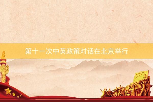 第十一次中英政策对话在北京举行