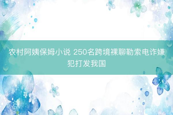 农村阿姨保姆小说 250名跨境裸聊勒索电诈嫌犯打发我国