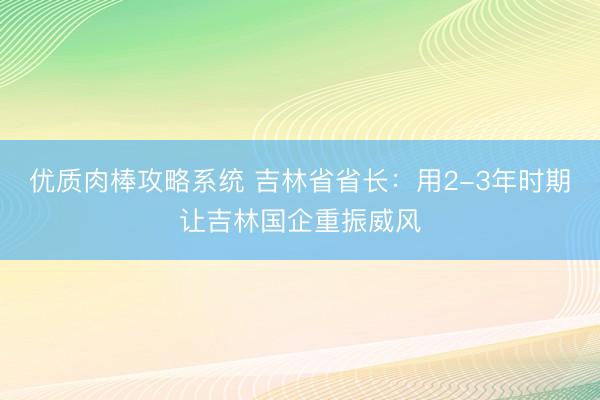 优质肉棒攻略系统 吉林省省长：用2-3年时期让吉林国企重振威风