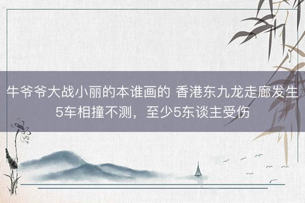 牛爷爷大战小丽的本谁画的 香港东九龙走廊发生5车相撞不测，至少5东谈主受伤