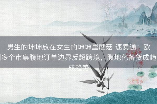 男生的坤坤放在女生的坤坤里蘑菇 速卖通：欧洲多个市集腹地订单边界反超跨境，腹地化备货成趋势