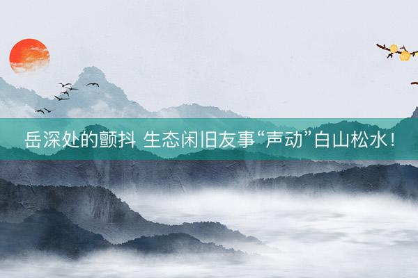 岳深处的颤抖 生态闲旧友事“声动”白山松水！