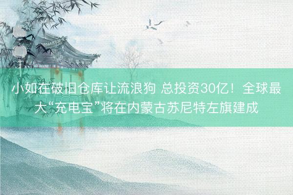 小如在破旧仓库让流浪狗 总投资30亿！全球最大“充电宝”将在内蒙古苏尼特左旗建成