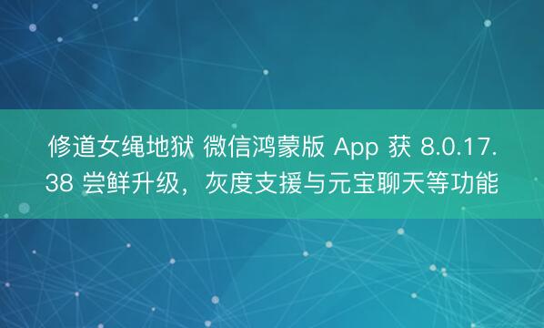 修道女绳地狱 微信鸿蒙版 App 获 8.0.17.38 尝鲜升级，灰度支援与元宝聊天等功能
