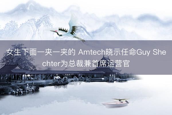 女生下面一夹一夹的 Amtech晓示任命Guy Shechter为总裁兼首席运营官