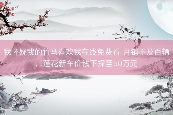 我怀疑我的竹马喜欢我在线免费看 月销不及百辆，莲花新车价钱下探至50万元