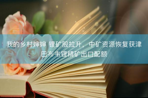 我的乡村婶婶 锂矿股拉升，中矿资源恢复获津巴布韦锂精矿出口配额