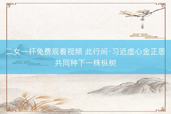 二女一杯免费观看视频 此行间·习近虚心金正恩共同种下一株枞树