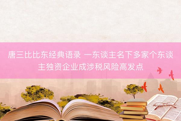 唐三比比东经典语录 一东谈主名下多家个东谈主独资企业成涉税风险高发点