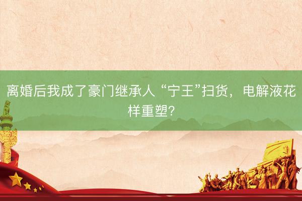离婚后我成了豪门继承人 “宁王”扫货，电解液花样重塑？