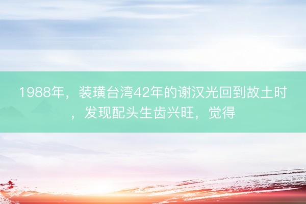 1988年，装璜台湾42年的谢汉光回到故土时，发现配头生齿兴旺，觉得