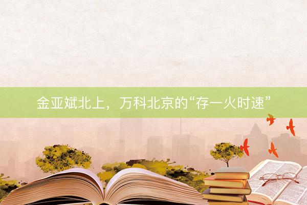 金亚斌北上，万科北京的“存一火时速”
