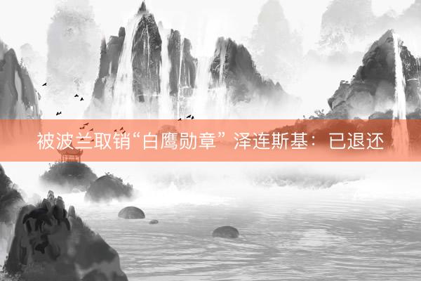 被波兰取销“白鹰勋章” 泽连斯基：已退还
