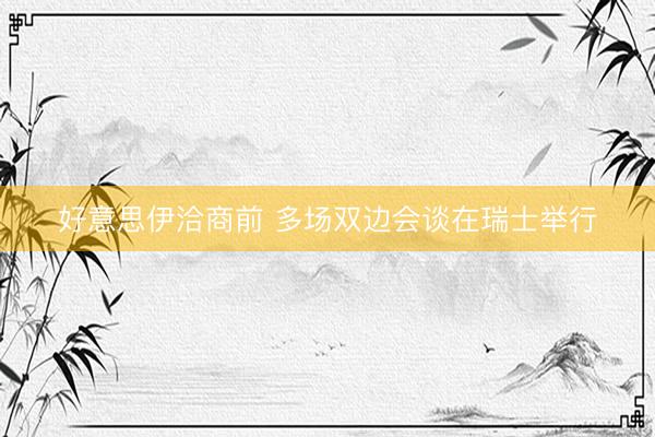 好意思伊洽商前 多场双边会谈在瑞士举行
